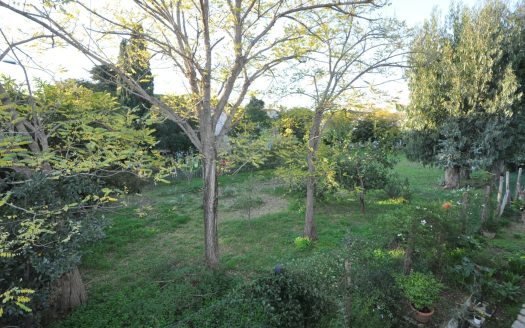 Villetta singola