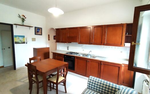 Two-room apartment near the beach